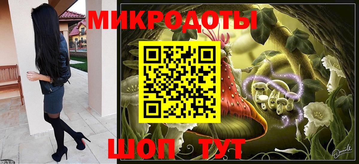 Псилоцибиновые грибы мицелий Луховицы