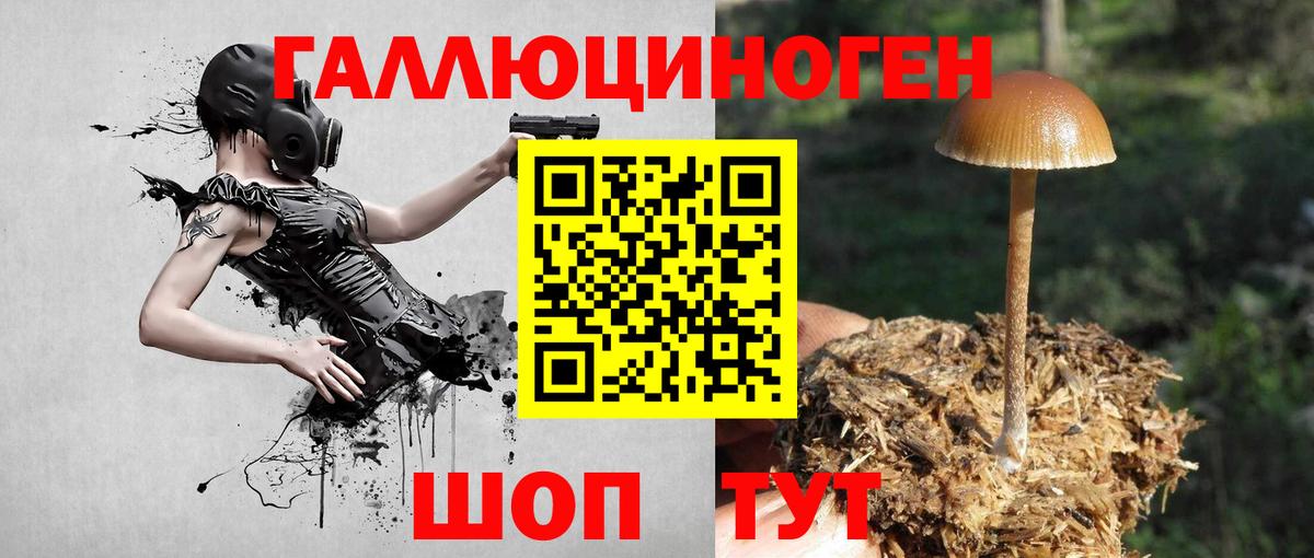 Галлюциногенные грибы прущие грибы  Вход с VPN  Псилоцибиновые грибы Magic Shrooms  Луховицы 